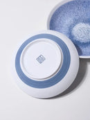 GobekUsa Ceramic Deep Dish Bowl - Japanese Style Soup Plate with Crackle Glaze