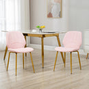 Anaya Velvet Dining Room Chair (Set of 2)