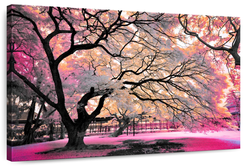 Pink Bloom Claw Trees Wall Art