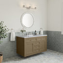 James Martin Chicago 48" Single Bathroom Vanity, Walnut Whisper