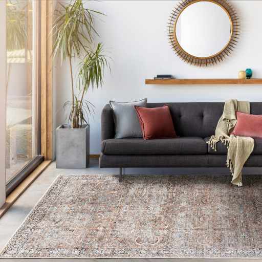 Jill Washable Area Rug - Clearance