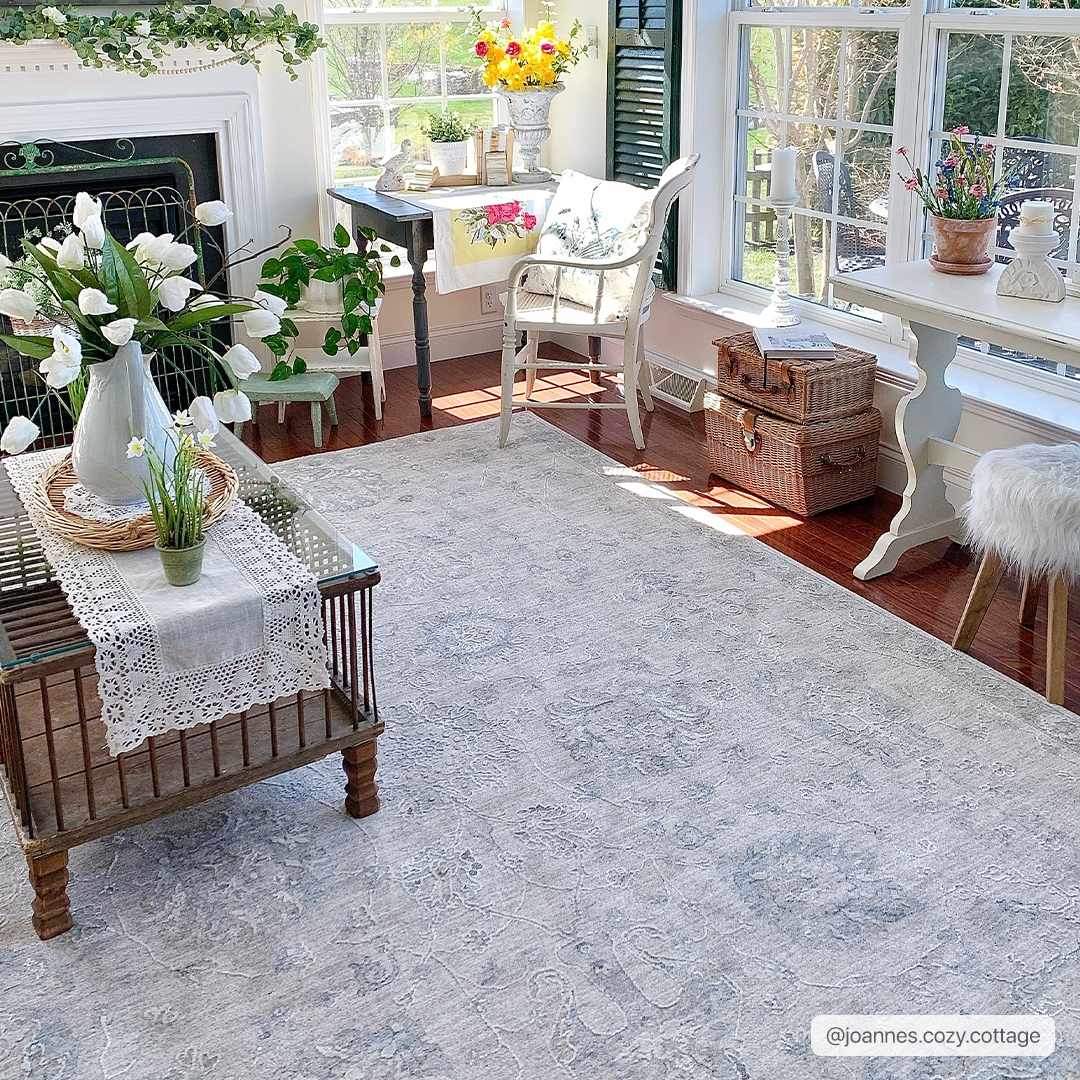 Albuquerque Area Rug, photo 2 of 21