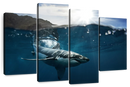 Shark Sunshine Wall Art