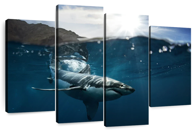 Shark Sunshine Wall Art