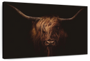 Handsome Highland Cow Wall Art
