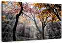 Forest Sun Rays Wall Art