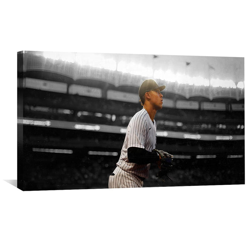 Judge Stance Canvas