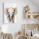 GobekUsa Jungle Animal Nursery Wall Art Set