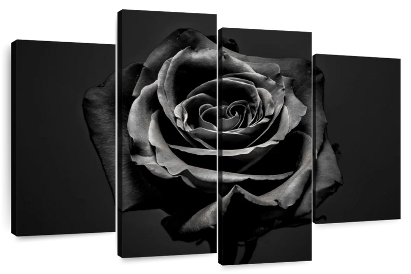 Black Rose Wall Art