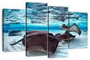 Stingrays Sea Life Wall Art