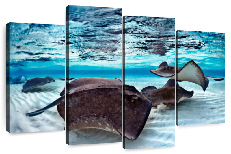 Stingrays Sea Life Wall Art