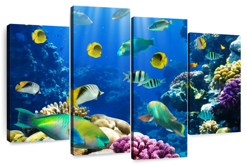 Underwater Sea Creatures Wall Art