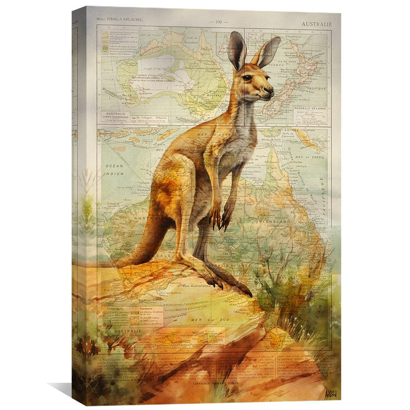 Kangaroo Canvas