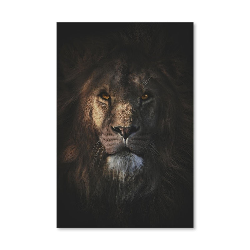 King of the Jungle Canvas