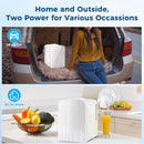 Kismile Compact Refrigerator, Portable Mini Fridge, Skin Care 4L Capacity/6 Cans F3404S