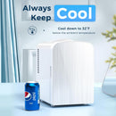 Kismile Compact Refrigerator, Portable Mini Fridge, Skin Care 4L Capacity/6 Cans F3404S
