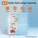 Kismile Upright Freezer, 6.0 Cu.ft Deep Freezer D58165-WHITE