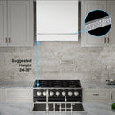 Akicon 30" Stainless Steel Wall Mount Range Hood with 600 CFM Vent Hood - AK-HS30HA-SW