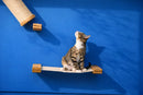 Hanging Cat Bed Hammock