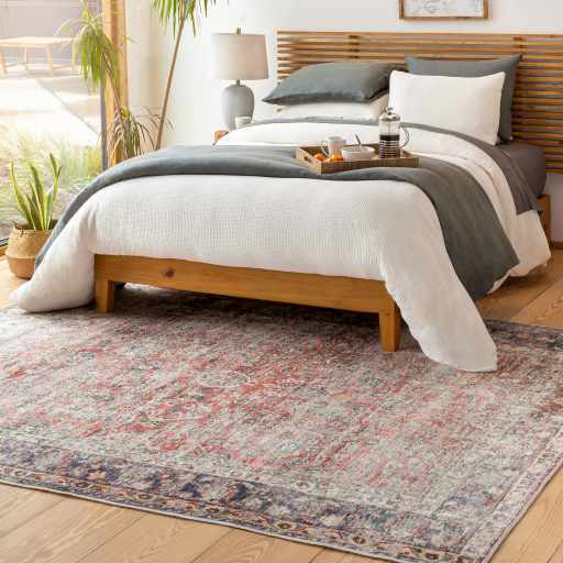 Rust Anahawan Distressed Washable Area Rug