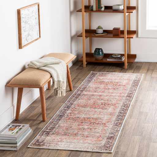 Rust Anahawan Distressed Washable Area Rug