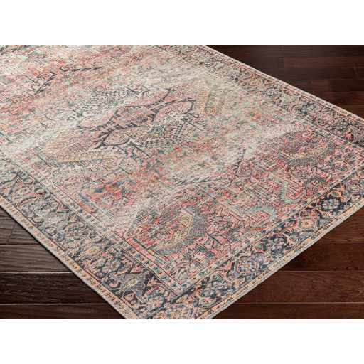 Pink Dunshaughlin Distressed Washable Area Rug