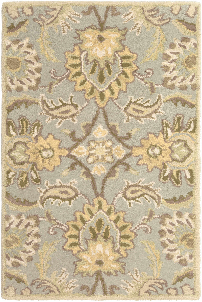 Chesterton Hand Tufted Ivory 1111 Area Rug
