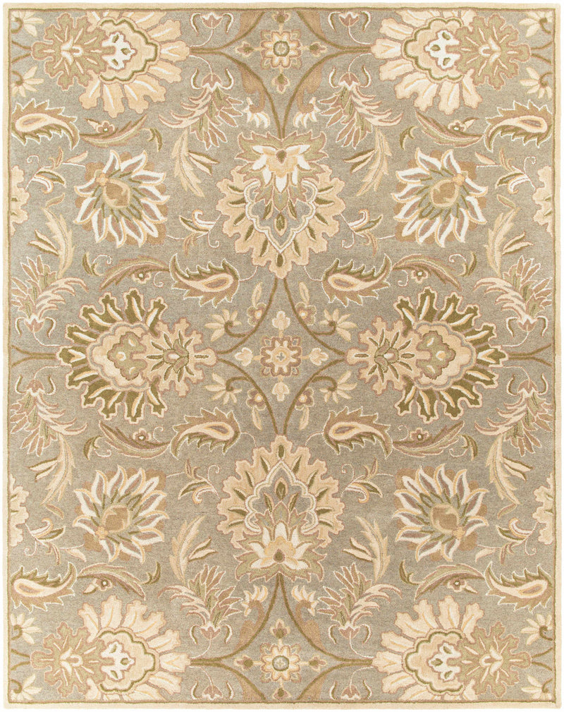Chesterton Hand Tufted Ivory 1111 Area Rug