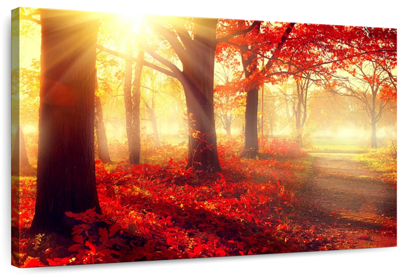 Bright Red Forest Wall Art