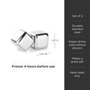 Glacier Rocks Large Stainless Steel Cube Set of 2 by Viski