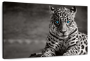Jaguar Eyes Pop Wall Art
