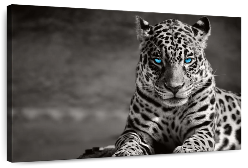 Jaguar Eyes Pop Wall Art