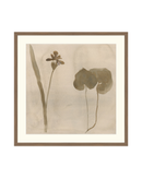 Botanical Thoughts II