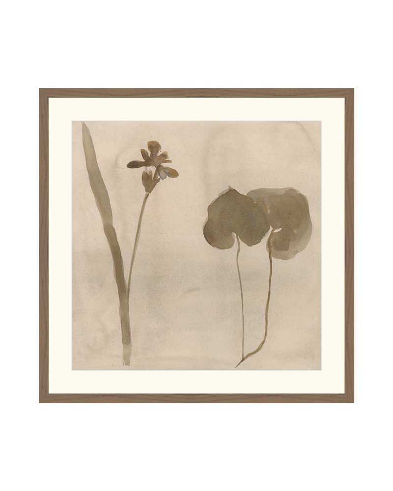 Botanical Thoughts II