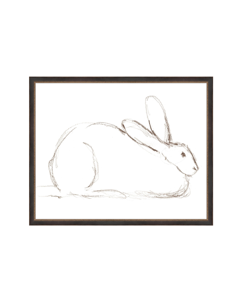Bunny Charcoal Sketch