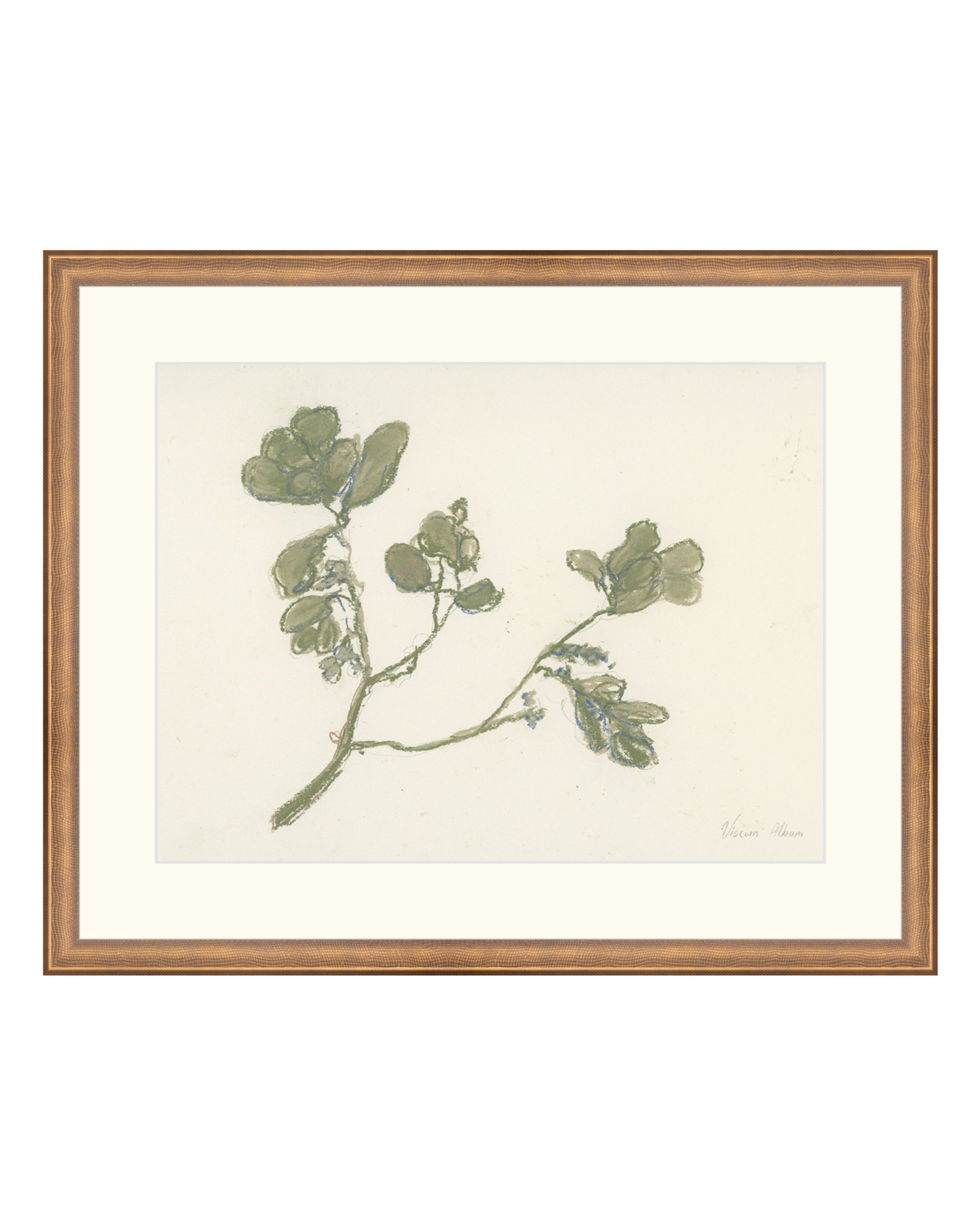 Pastel Mistletoe, photo 24 of 28