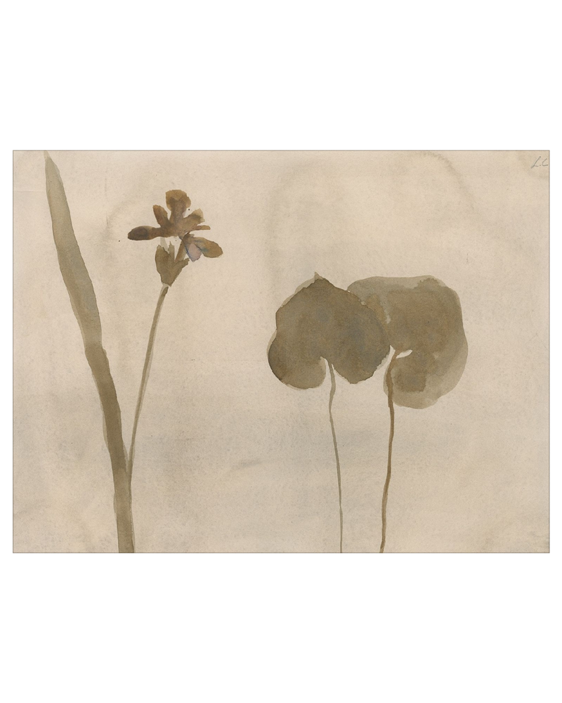 Botanical Thoughts II