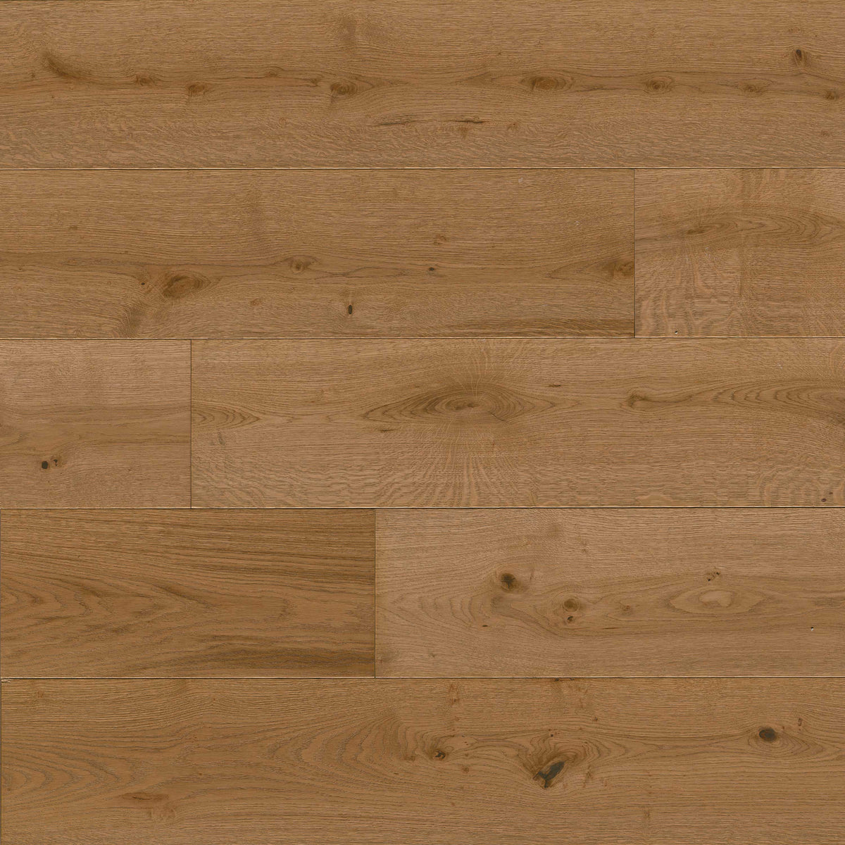 MSI Mccarran®Leander Oak Engineered Hardwood Flooring, photo 12 of 18