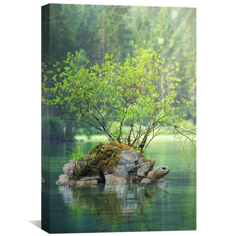 Lake Turtle Canvas