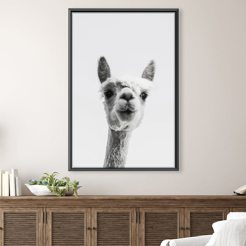 Llama Portrait Canvas