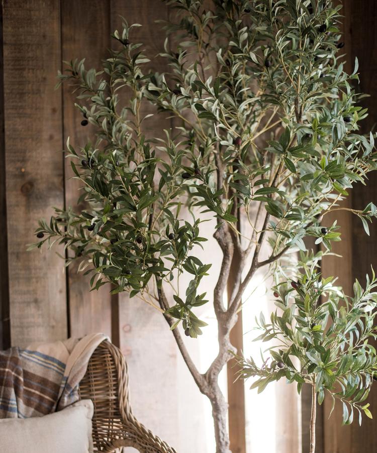 Large Artificial Olive Tree 94" Tall In Pot