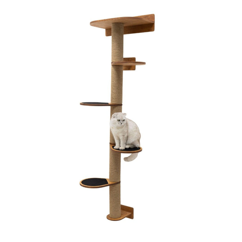 Large Cat Tree – Oak, photo 3 of 7