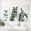 Botanical Set of 3 Prints. Tropical Monstera, Rubber Plant by Wall Art Set