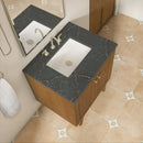 James Martin Laurent 30" Dual Mount Single Bathroom Vanity, Honey Oak