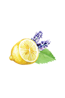 Lavender, Lemon & Mint Essential Oil Blend by Rustic Strength
