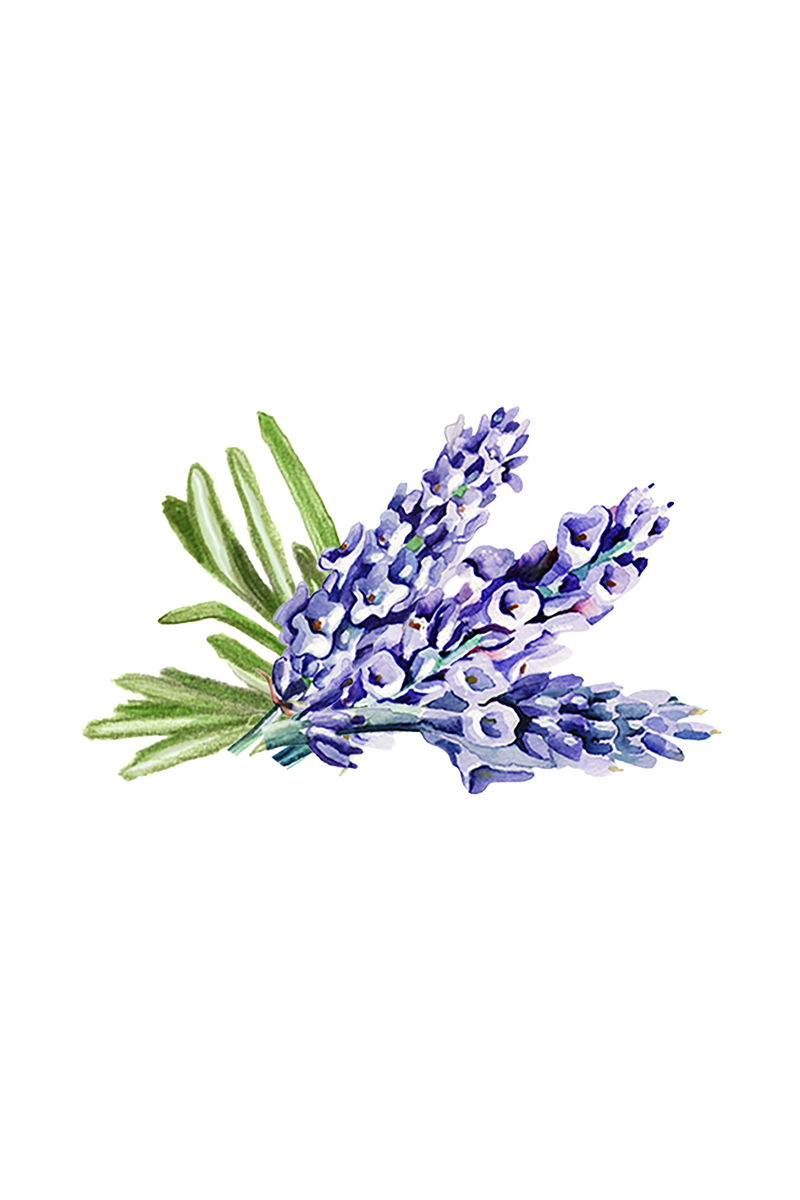 Lavender & Rosemary Essential Oil Blend, photo 2 of 3