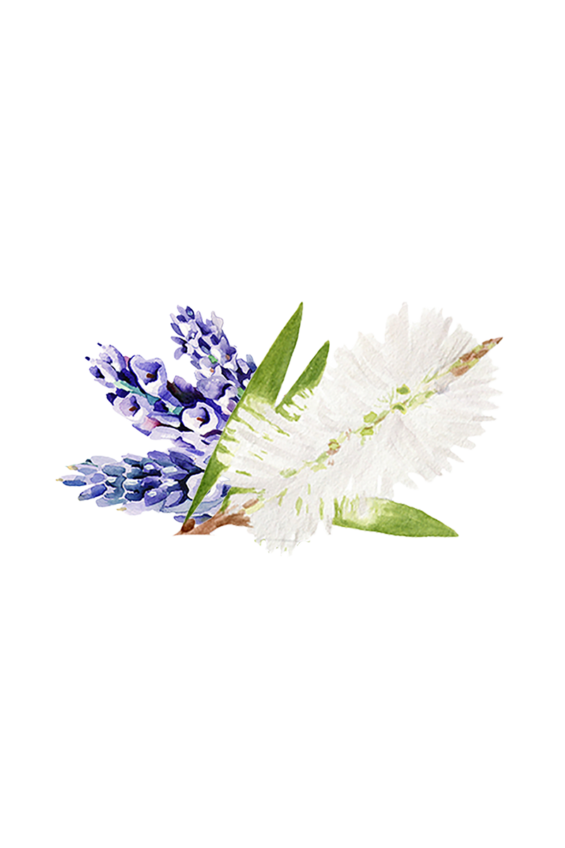 Lavender & Tea Tree Essential Oil Blend