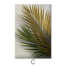Leaves and Shadows Canvas