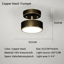 GobekUsa LED Ceiling Light for Bedroom and Living Room