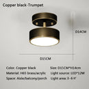 GobekUsa LED Ceiling Light for Bedroom and Living Room
